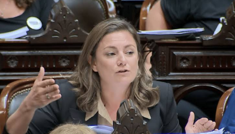 "Todavía hay mucho por qué pelear", apuntó Siley sobre el proyecto de Ley de Inviolabilidad de la Propiedad Privada