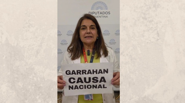 Lezana sobre la emergencia pediátrica: "Vamos por el Senado. Y si hay veto, las centrales obreras tienen que convocar a un paro general"