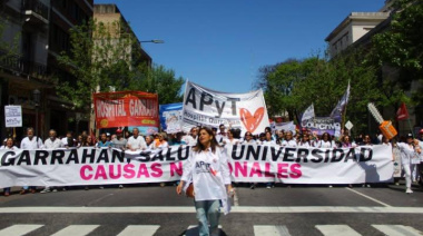 "Vamos por la aplicación inmediata, real y efectiva de la Ley, sin maniobras, ni demoras”, avisó Lezana sobre la Emergencia Pediátrica