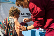 Lanús Gobierno aplicará vacunas contra el dengue de forma gratuita