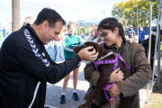Álvarez visitó la jornada integral de zoonosis en el Parque Central Las Colonias